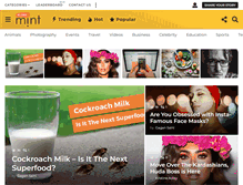 Tablet Screenshot of globemint.com